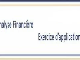 Exercices corrigés sur l'analyse financière en PDF