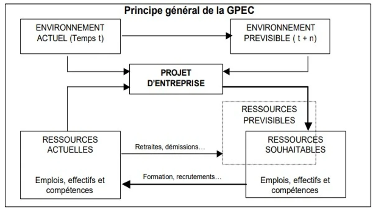La gestion prévisionnelle des emplois et des compétences (GPEC)