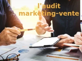 l'audit marketing-vente