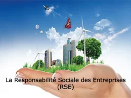 La Responsabilité Sociale des Entreprises (RSE)